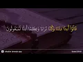 Download Lagu Al-Mu'minun ayat 82