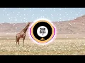 Disclosure, Fatoumata Diawara - Douha (Mali Mali)