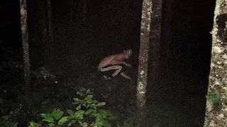 Horrifying Search and Rescue Reddit Stories
