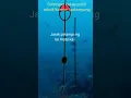 Download Lagu Settingan Mancing Kakap Putih Teknik Koncer /Pelampung.