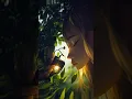 Tranquil ASMR Experience Unwind and Drift into Blissful Sleep