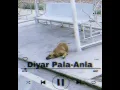 Diyar pala -anla (SLOWED-REVERB)