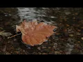 NAT KING COLE- 'TIS AUTUMN