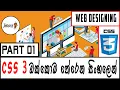 HTML CSS Web Designing 02 - CSS Beginner Complete Course