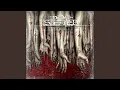 Download Lagu Vortex