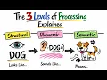 3 Levels of Processing Explained Structural Phonemic Semantic
