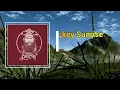 Chris Stapleton - Whiskey Sunrise  (Lyrics)
