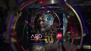 what goes down official audio 