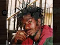 Old School 90's Dancehall/bashment Mix PART 1 Buju banton, Beenie man, Red Rat, Flex and many more