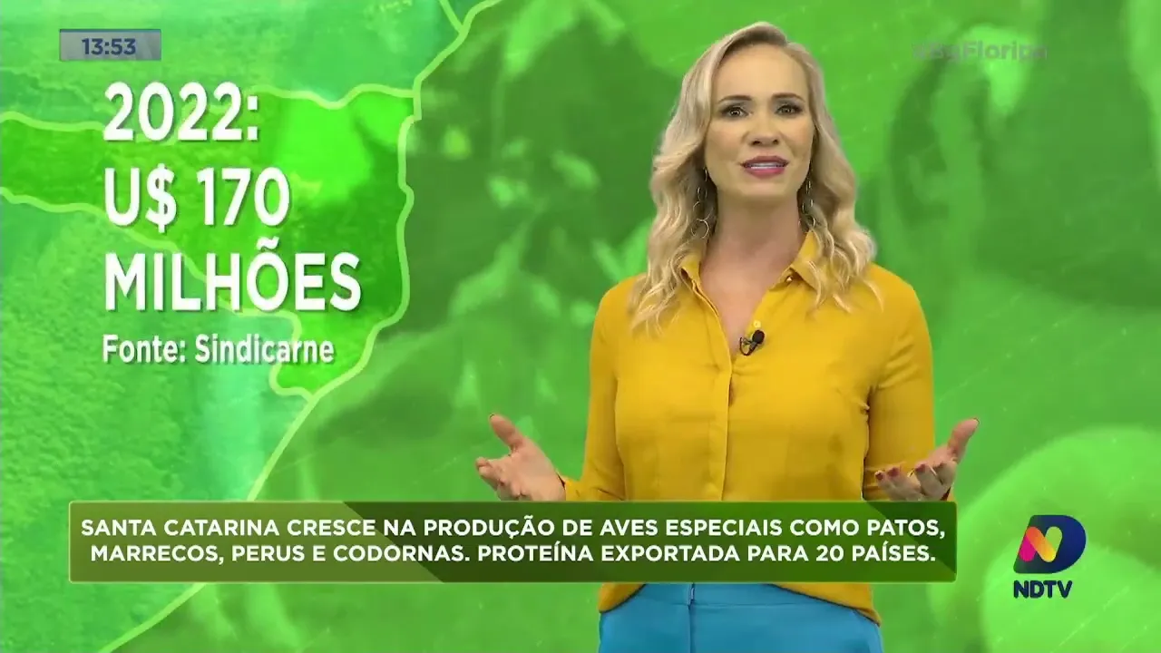Santa Catarina cresce na produção de aves especiais como patos, marrecos, perus e codornas