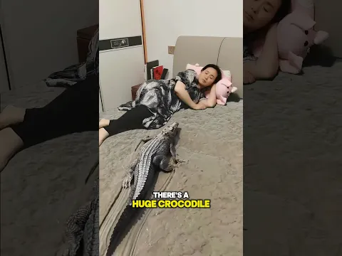 A Giant Crocodile Under the Bed! Real or 3D Bedsheet🐊🤯😍!! #shorts