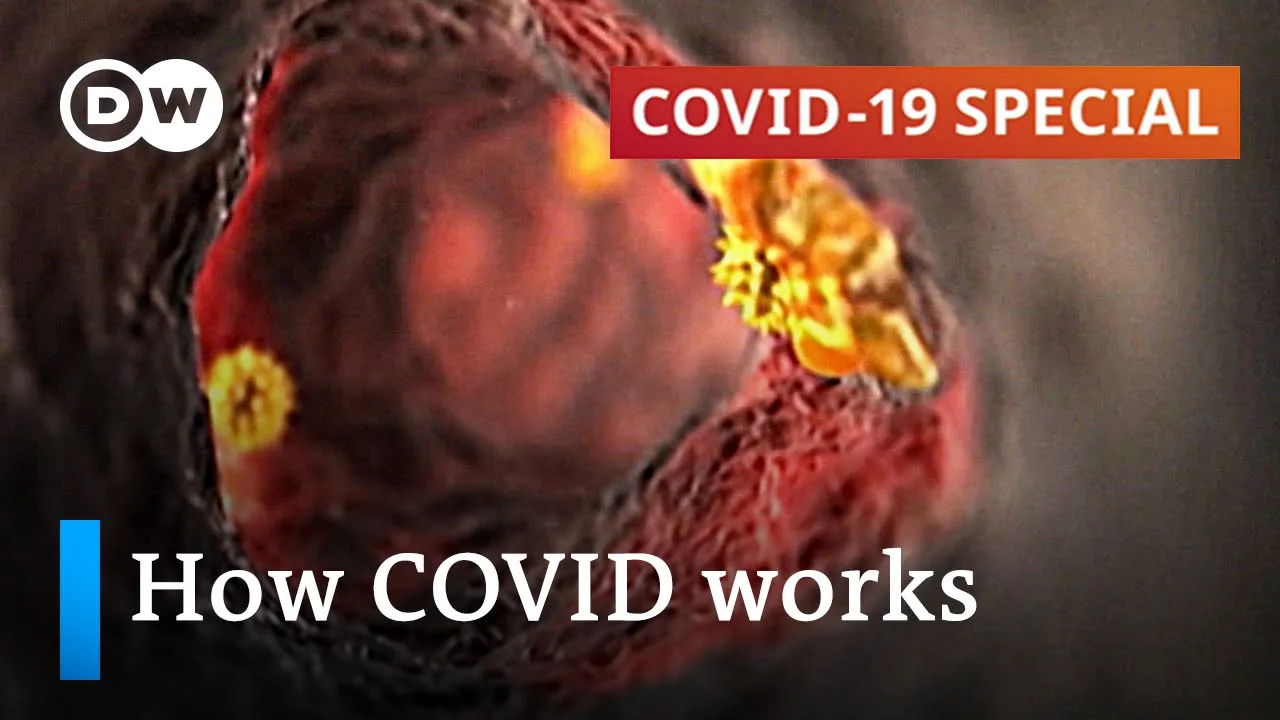 The shocking centre of the COVID-19 crisis. 