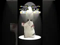 Download Lagu [WOP - J. Dash] TikTok Dance Tutorial #cat #funny #catmemes