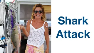 Our fishing lines are attacked by a shark in Cuba! Sailing Ocean Fox Ep 106