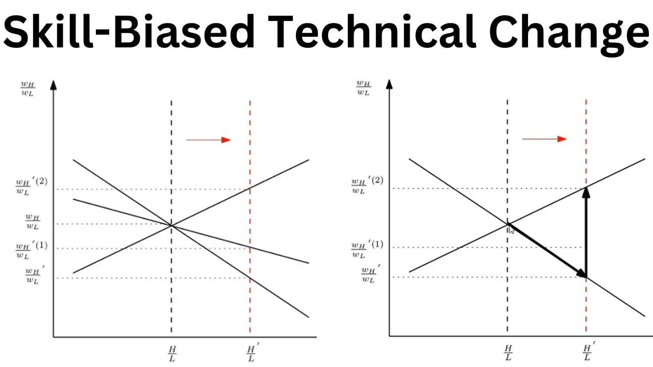 Skill-Biased Technological Change Part 3: Solution and Dynamics of the Skill Premium