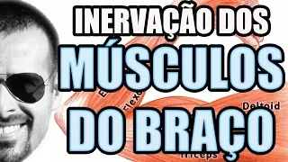 Vídeo Aula 109 - Anatomia Humana - Sistema Muscular: Inervaçao dos Músculos do Braço
