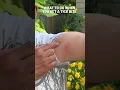What To Do When You Get a Tick Bite Ranger Ready Repellents