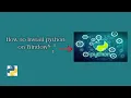 How to Install python 3 9 8 on Windows 11