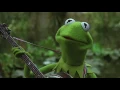 Rainbow Connection (with lyrics)