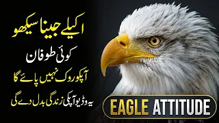 DO IT ALONE 🦅 The Eagle Who Had No Help But Won Everything | Motivational Story Eagle Mentality
