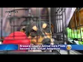 Coronavirus Pets Broward County Animal Care Finds Success with Virtual Adoptions