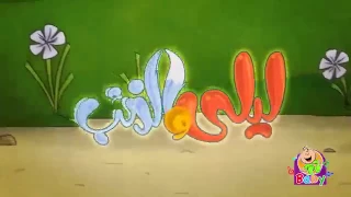 ليلى والذئب طيور بيبي 