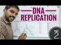 DNA Replication - Part 2 Molecular Biology Tamil