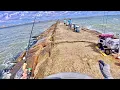 Surfside Jetty 9 June 2026 the Speckled Trout bite is good right now S9 E33