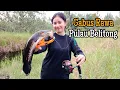 Lagu Casting gabus rawa pulau Belitong, sensasi sambaran gabusnya sampai ke ubun-ubun || Lady Angler