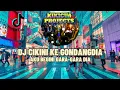 Download Lagu DJ CIKINI KE GONDADIA||AKU BEGINI GARA GARA DIA REMIX TIKTOK FULLBASS 2023