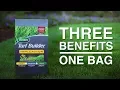 Kill Weeds Feed Your Lawn in One Step Scotts Turf Builder Triple Action