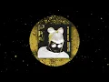 Sam Sparro - Black & Gold (CHRIS A Techno Remix)