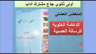 أولى ثانوي آداب الدعامة الخلوية للرسالة العصبية 