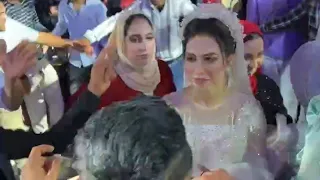 ما بنعتمدش اسامي كلها اسماء وهميه عيال ولسه طريه افندينا السيد حسن والقشاش 