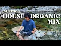Download Lagu 🌊ORGANIC DJ Set - AURESOL🌊  (House \u0026 Melodic Vibes❤️) in Lynn Canyon Park, BC🍁  by : Edduar Cross