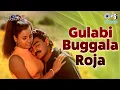 Download Lagu Gulabi Buggala Roja | Mandaram | Raghavendra, Laila Khan | Varikuppala Yadagiri | Telugu Love Song