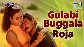 gulabi buggala roja mandaram raghavendra laila khan varikuppala yadagiri telugu love song