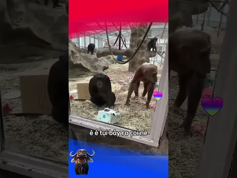 Kẻ Hủy Diệt và Hành Tinh Khỉ