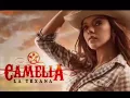 Download Lagu Los tigueres del norte -Camelia la texana 1-2-3