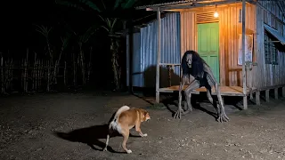 TOP 10 Aterradores Criaturas que han sido captadas por cámaras!