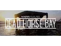 Dead Horse Bay New York s Hidden Treasure Trove of Trash