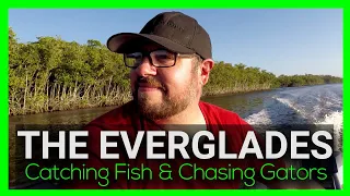 Catching Fish and Boat Repairs I Sailing on a Whim Ep.11