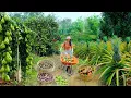 Download Lagu Harvest, Sell, Cook: Pineapple, Passion Fruit, Macadamia, Chayote, Chocolate Chili Peppers - Garden