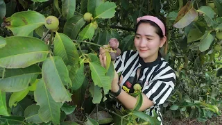 Superfruits Part 3: Mangosteen - Your Health TV. 