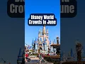 How Crowded is it Actually at Disney World in June