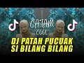 Download Lagu PATAH PUCUAK SI BILANG BILANG || DJ GAMANG BAMIMPI FULL BASS