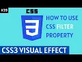 How to use CSS Filter Property Part 39 CSS3 Visual Effects programmer shakil