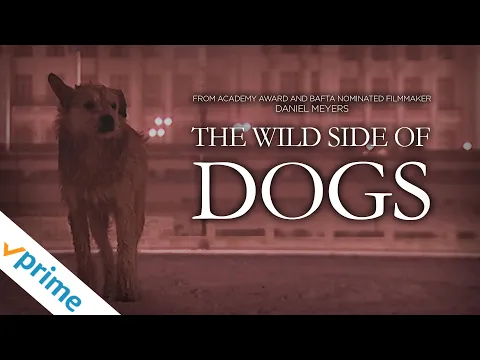 The Wild Side Of Dogs | Trailer | Available Now