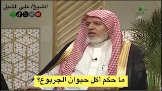 أ د  علي الشبل   ما حكم أكل حيوان الجربوع  دندنها
