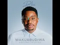 Wakuabudiwa (Live)